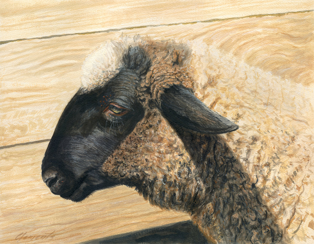 Portrait of Suffolk Ram Sheep Painting Giclée Print