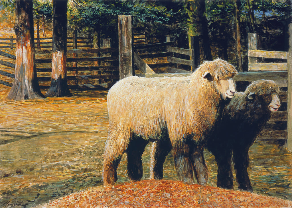 Two Ewe Sheep in Rainy Barnyard Painting Giclée Print