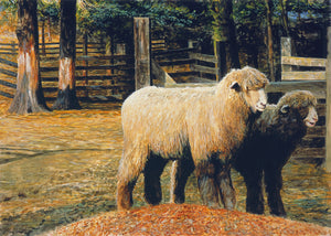 Two Ewe Sheep in Rainy Barnyard Painting Giclée Print