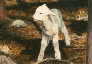 Coopworth Lamb in Shaded Trees Painting Giclée Print