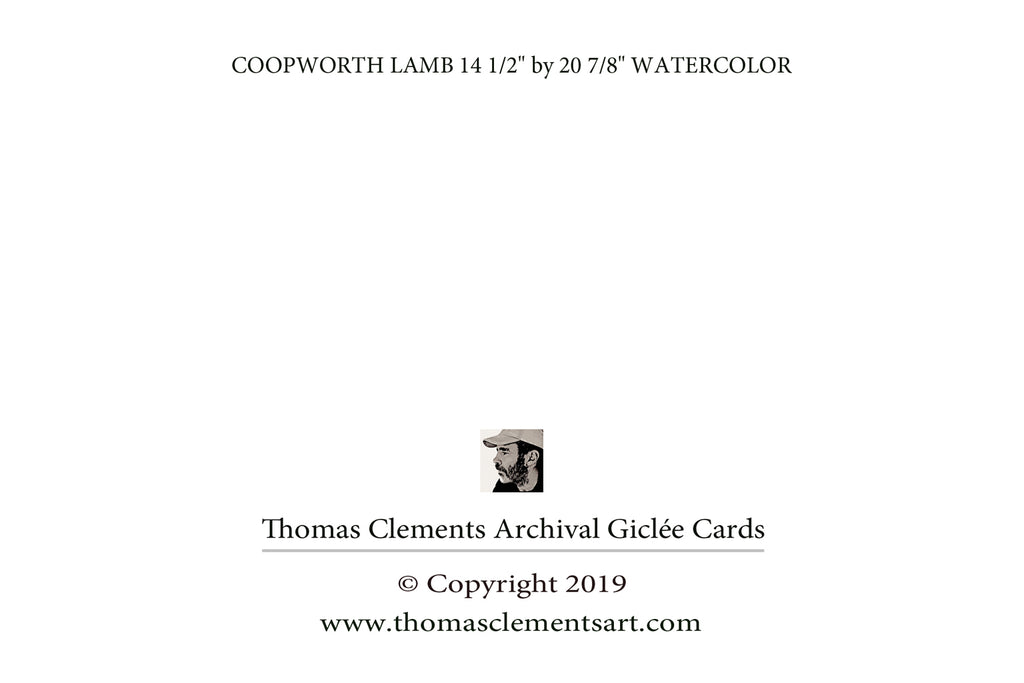 COOPWORTH LAMB
