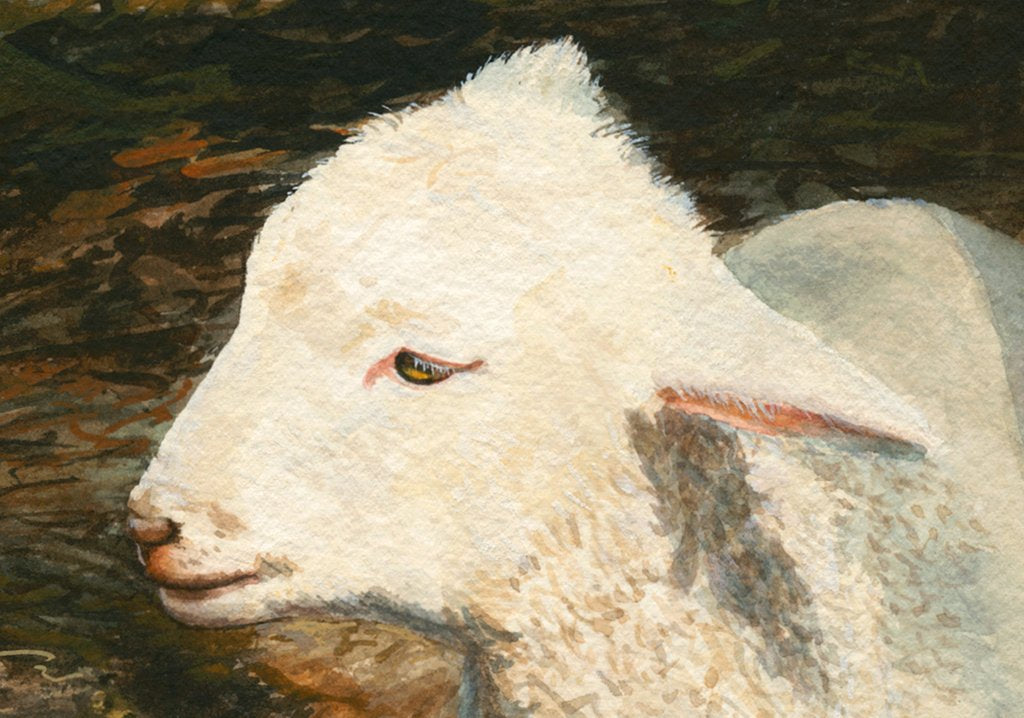 Coopworth Lamb in Shaded Trees Painting Giclée Print Crop 1