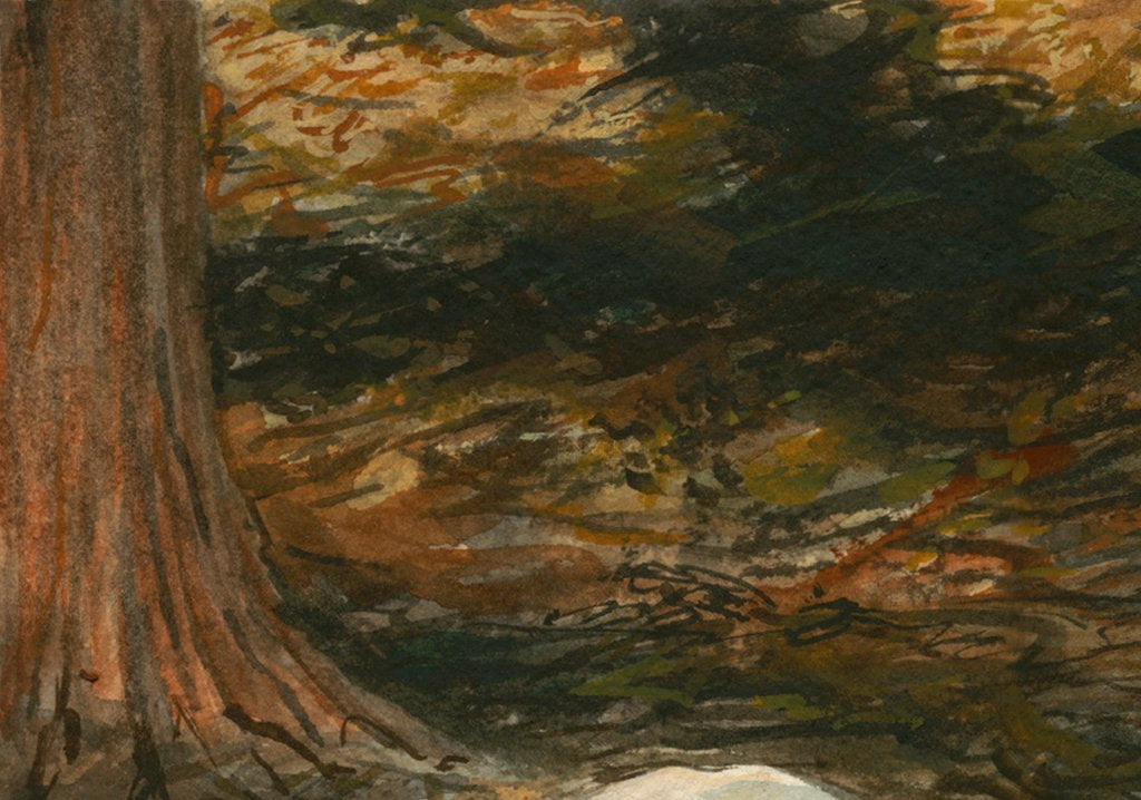 Coopworth Lamb in Shaded Trees Painting Giclée Print Crop 3