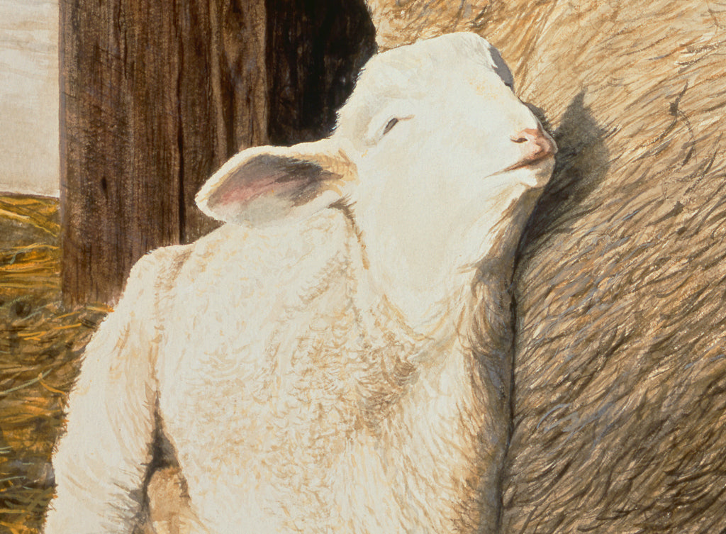 Columbia Ewe Sheep and Lamb Painting Giclée Print
