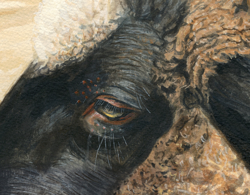 Portrait of Suffolk Ram Sheep Painting Giclée Print Crop 1