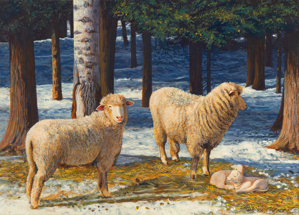Two Columbia Ewes and Lambs on Sunny Snowy Day Painting Giclée Print